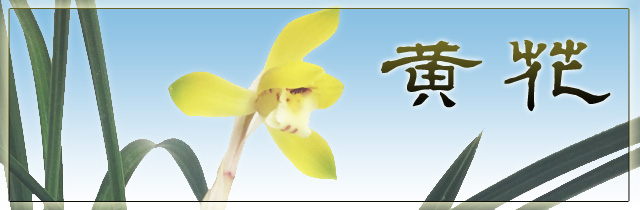 黄花